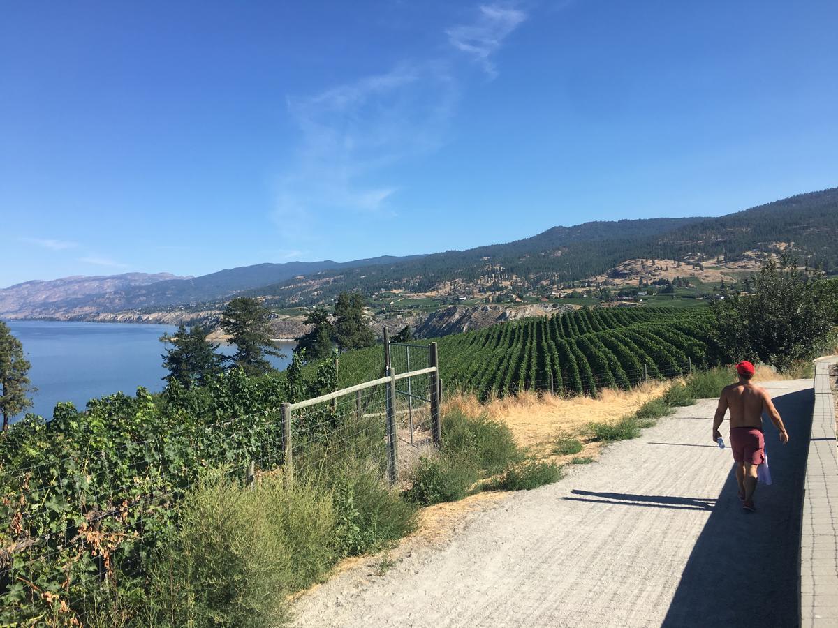 Black Sea Penticton